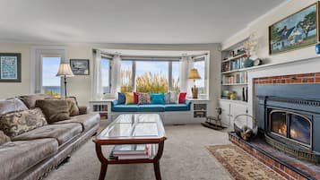 Smart TV, fireplace, DVD player, books