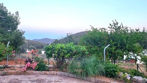 Un jardín con diversas plantas y árboles, un camino de piedra y vistas a colinas distantes.