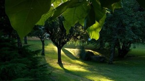 Een pad door een park met bomen en gras.