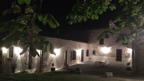 A courtyard with a building, a bench, and a potted plant.