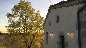 A rustic building with a large tree in front, a sloped roof, and a small window with a light fixture.
