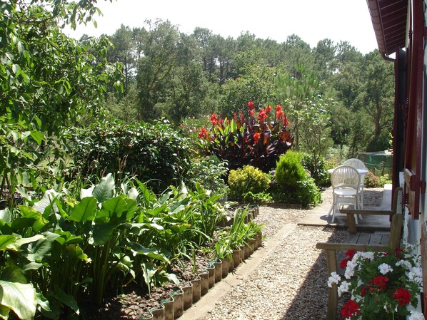 A garden pathway lined with various plants and flowers, leading to a seating area with white chairs. - QUIET LANDAISE HOUSE ON THE EDGE OF A 3-STAR FOREST (Labenne)