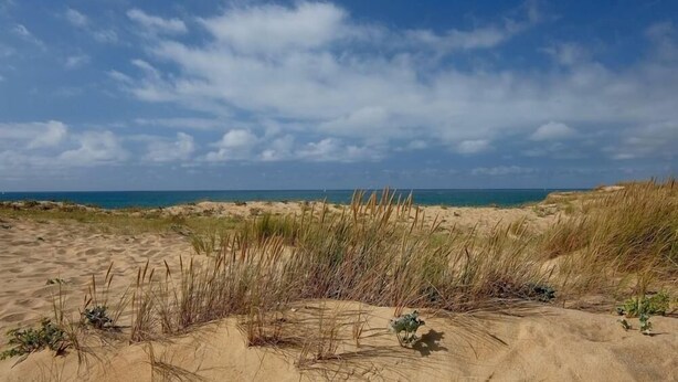 A beach with sand dunes and sparse vegetation. - QUIET LANDAISE HOUSE ON THE EDGE OF A 3-STAR FOREST (Labenne)