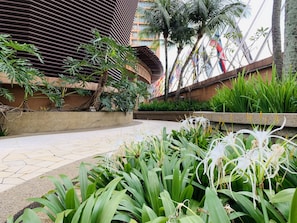 Outdoor pool, pool loungers - KL Service Apartment at Times Square (Kuala Lumpur)