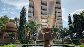 Garden view