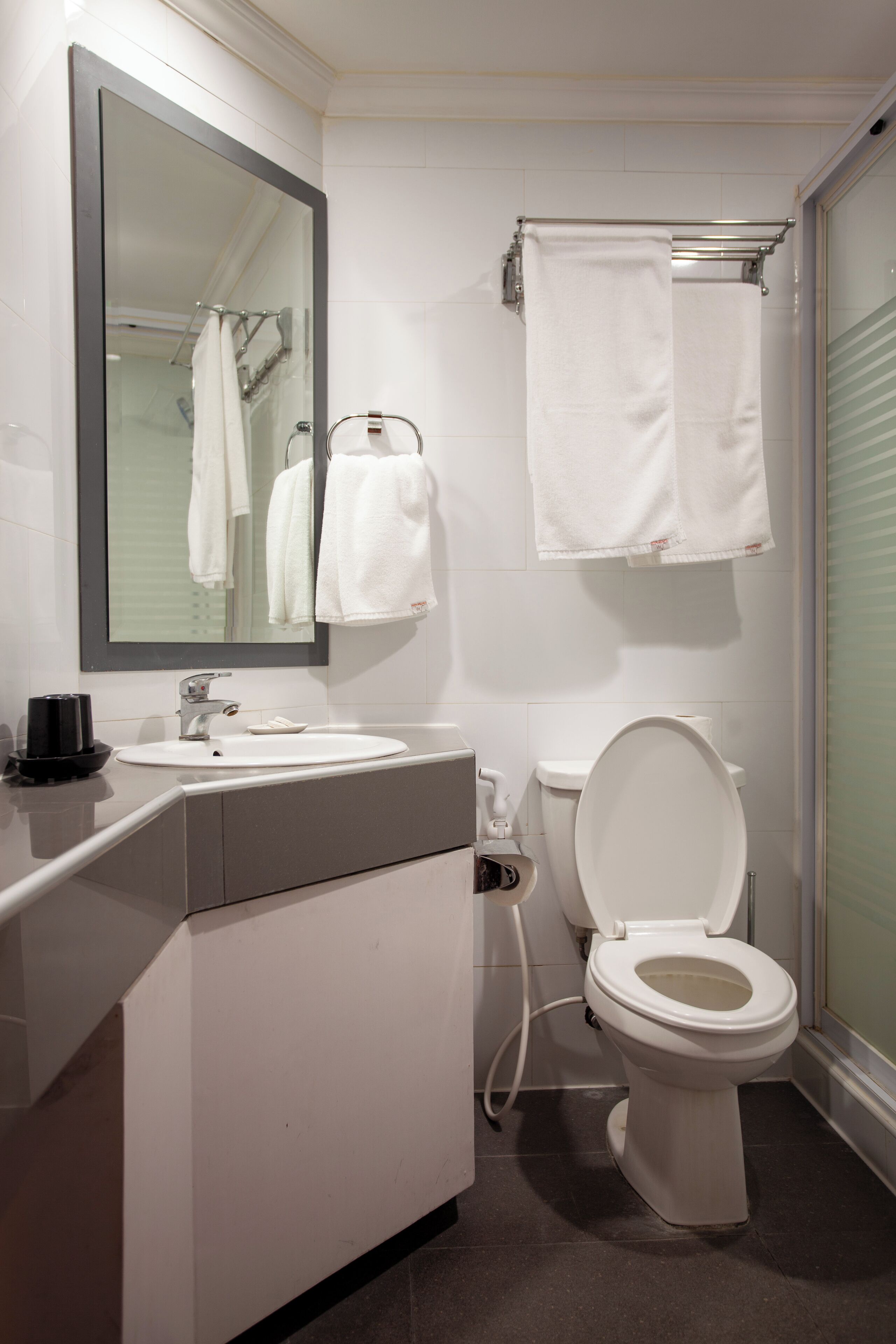 deluxe room | bathroom | hair dryer, bidet, towels