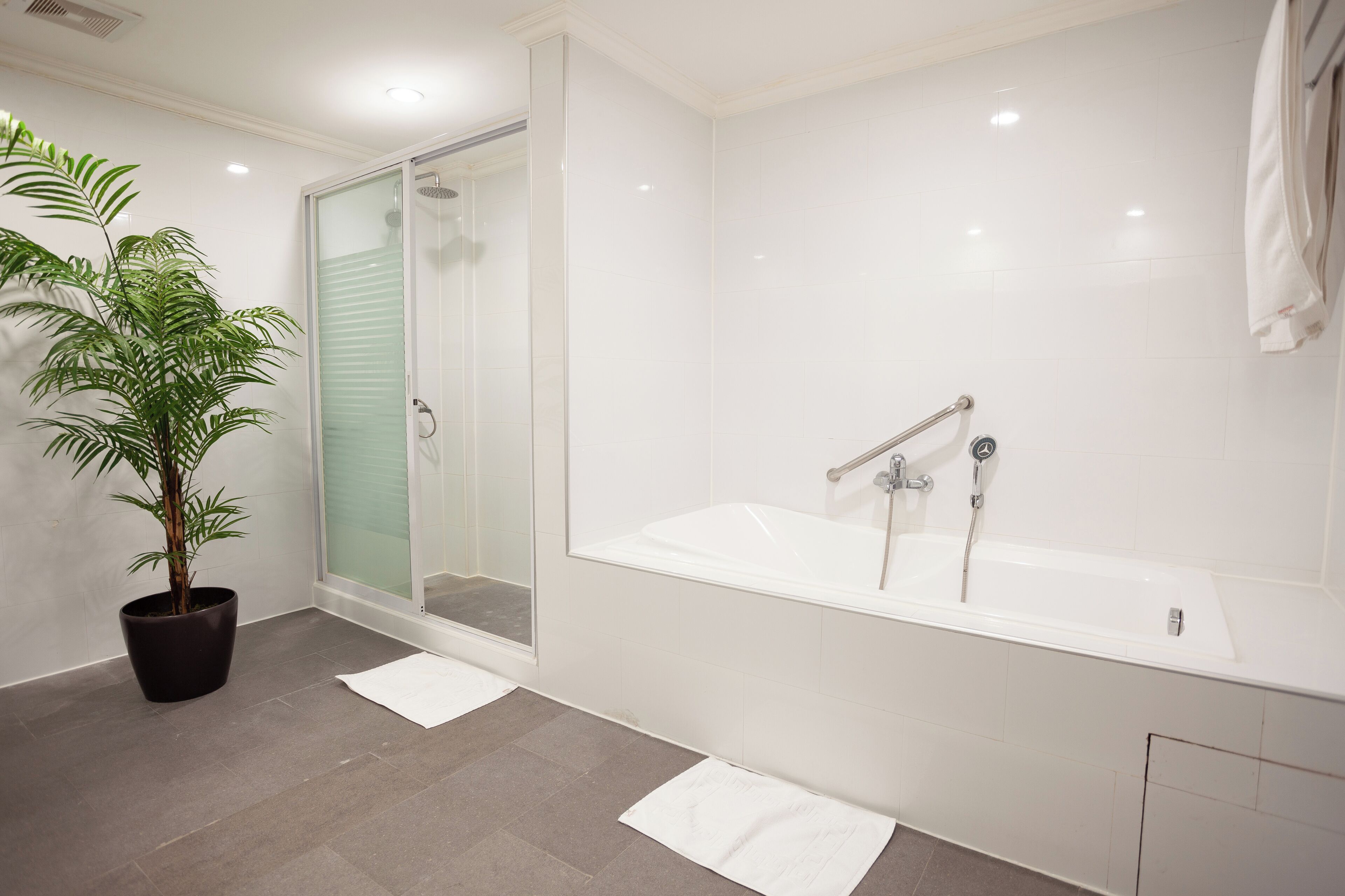 superior deluxe plus | bathroom | hair dryer, bidet, towels