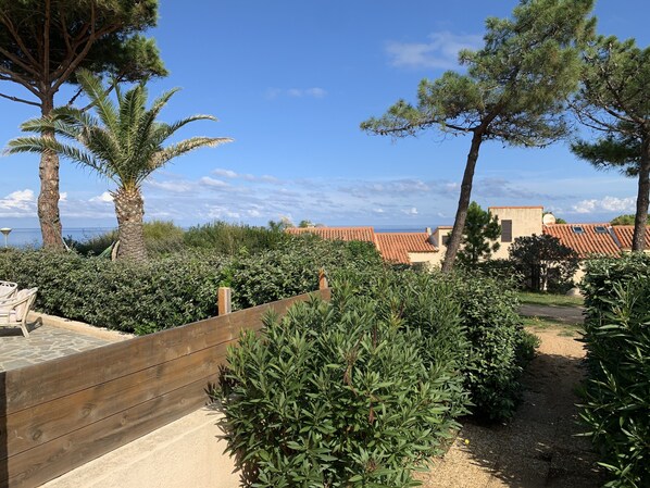 A garden with a wooden fence, various shrubs, and a view of buildings with red-tiled roofs.