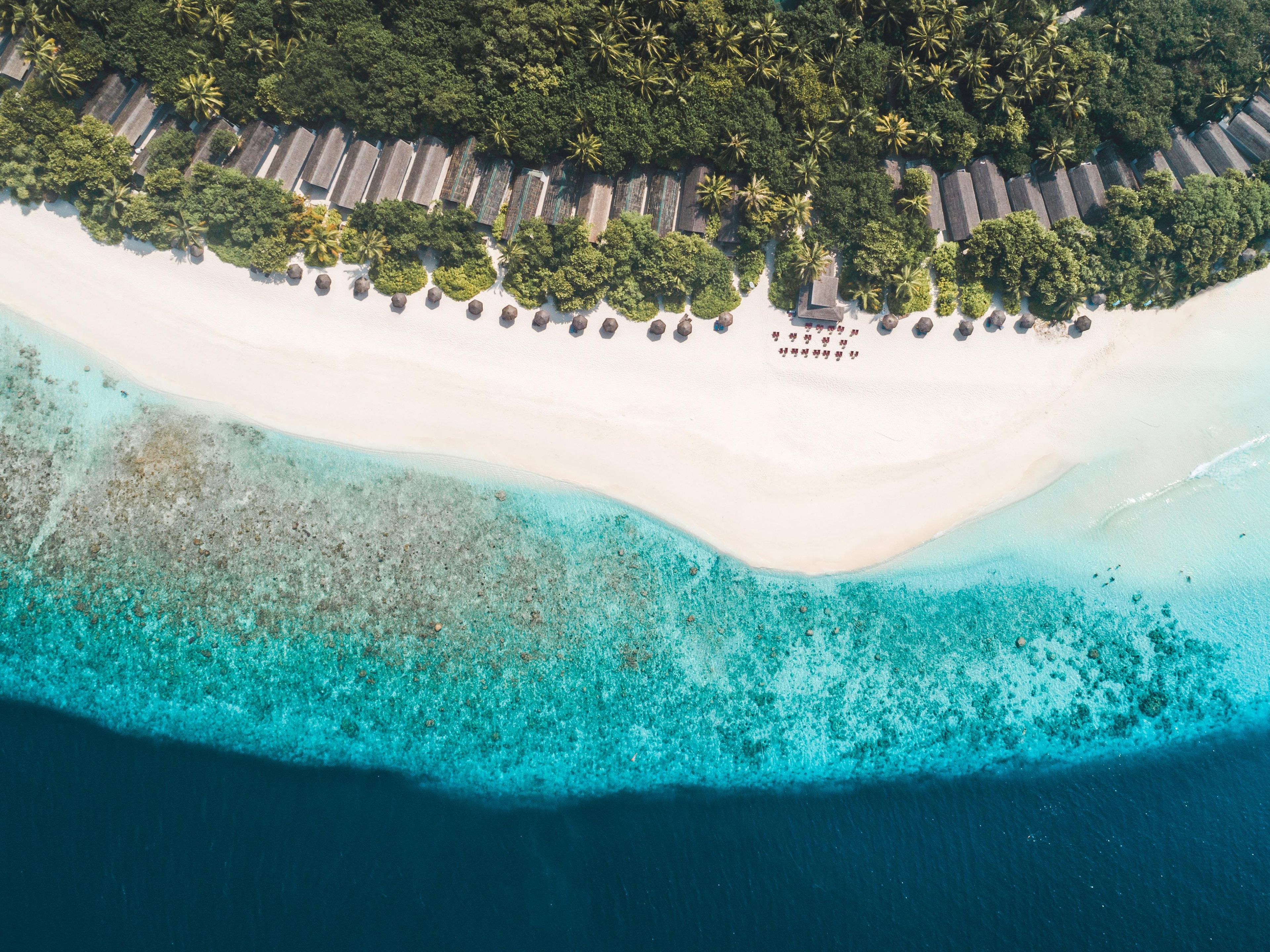 An aerial view of a beach with a row of palm trees and a row of thatched-roof huts.