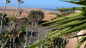 Un paysage aride et vallonné, avec une végétation clairsemée et une étendue d’eau visible au loin.