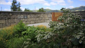 A stone wall with a wooden gate, surrounded by greenery and flowers. - Casa da Cisaltina (Povoacao)