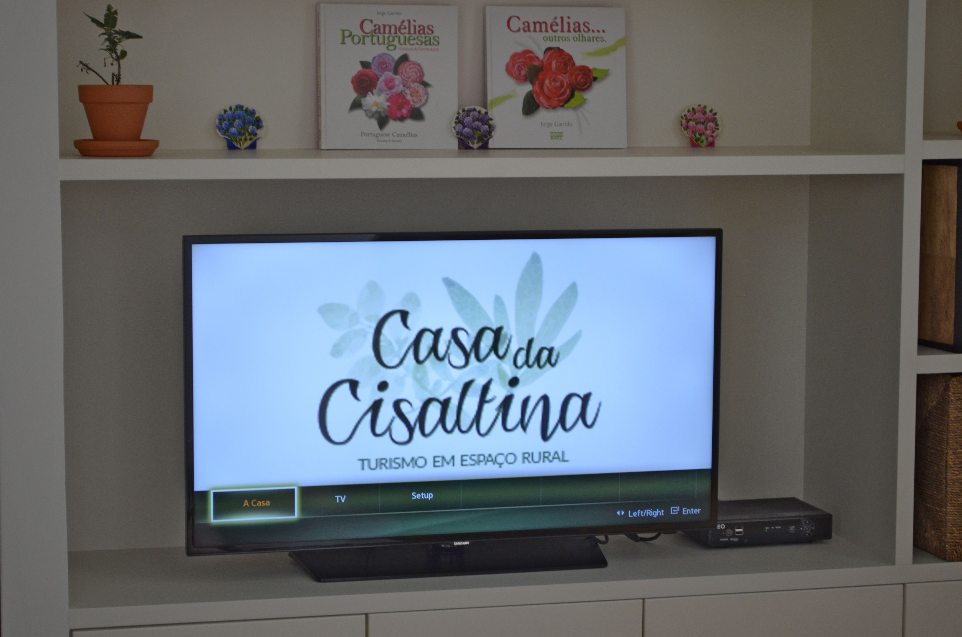 Televisiossa näkyy ohjelma nimeltä ”Casa da Cisaltina”, jonka teemana on maaseutumatkailu.
