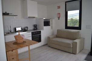 Apartamento, 1 habitación, balcón (1) | Cocina básica privada | Placa de cocina, hervidor eléctrico y utensilios de cocina