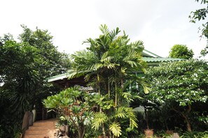 Reception - Pua Sabai Resort (Pua)