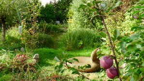 A garden with a wicker chair, a stone bench, and a variety of plants and flowers.