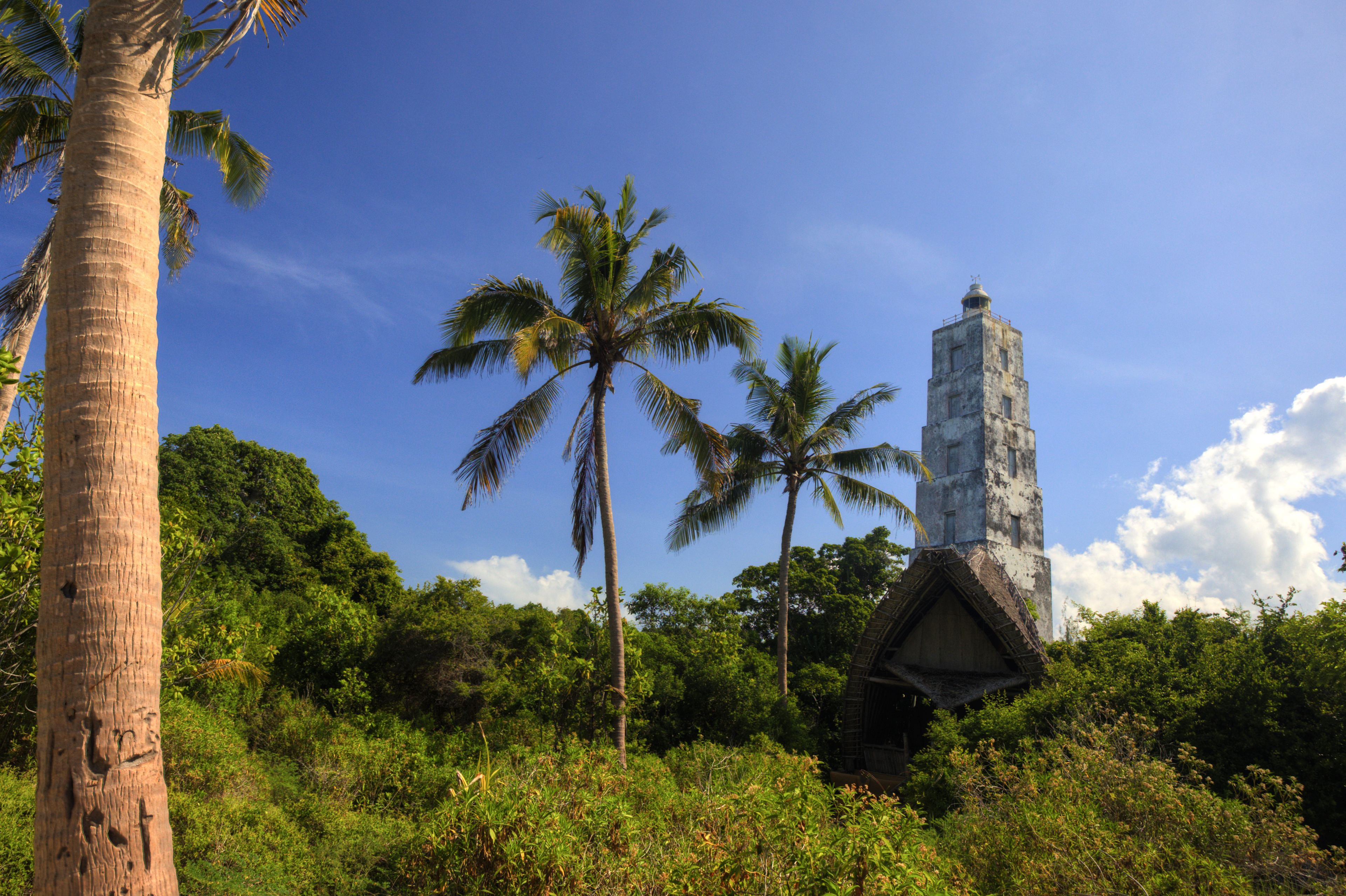 Una torre alta y esbelta con una estructura de techo de paja en su base, rodeada de densa vegetación tropical y palmeras bajo un cielo azul despejado.