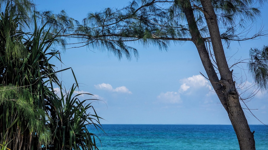 Chumbe Island Coral Park
