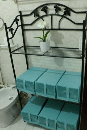Combined shower/bathtub, hair dryer, bidet, towels