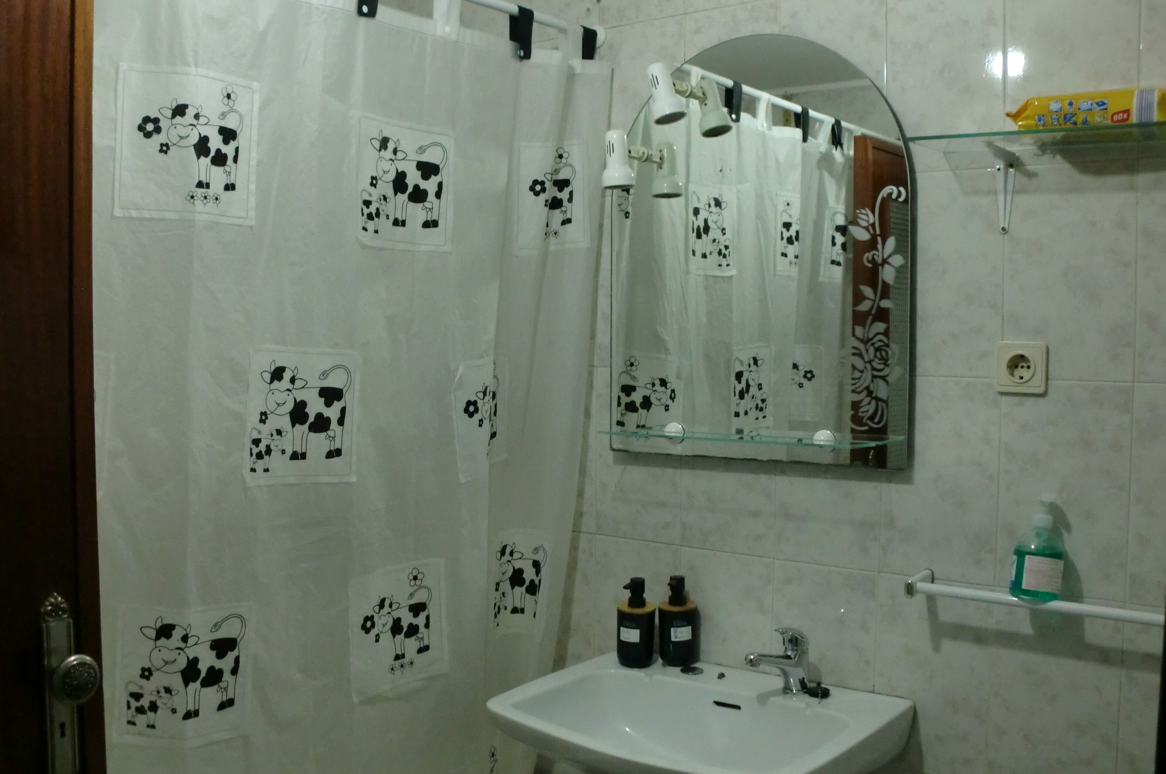 Combined shower/tub, hair dryer, bidet, towels
