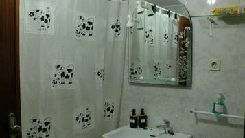 Combined shower/tub, hair dryer, bidet, towels