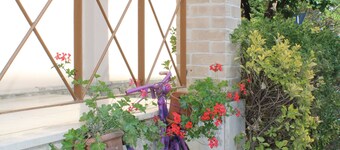 Alle Terme B&B