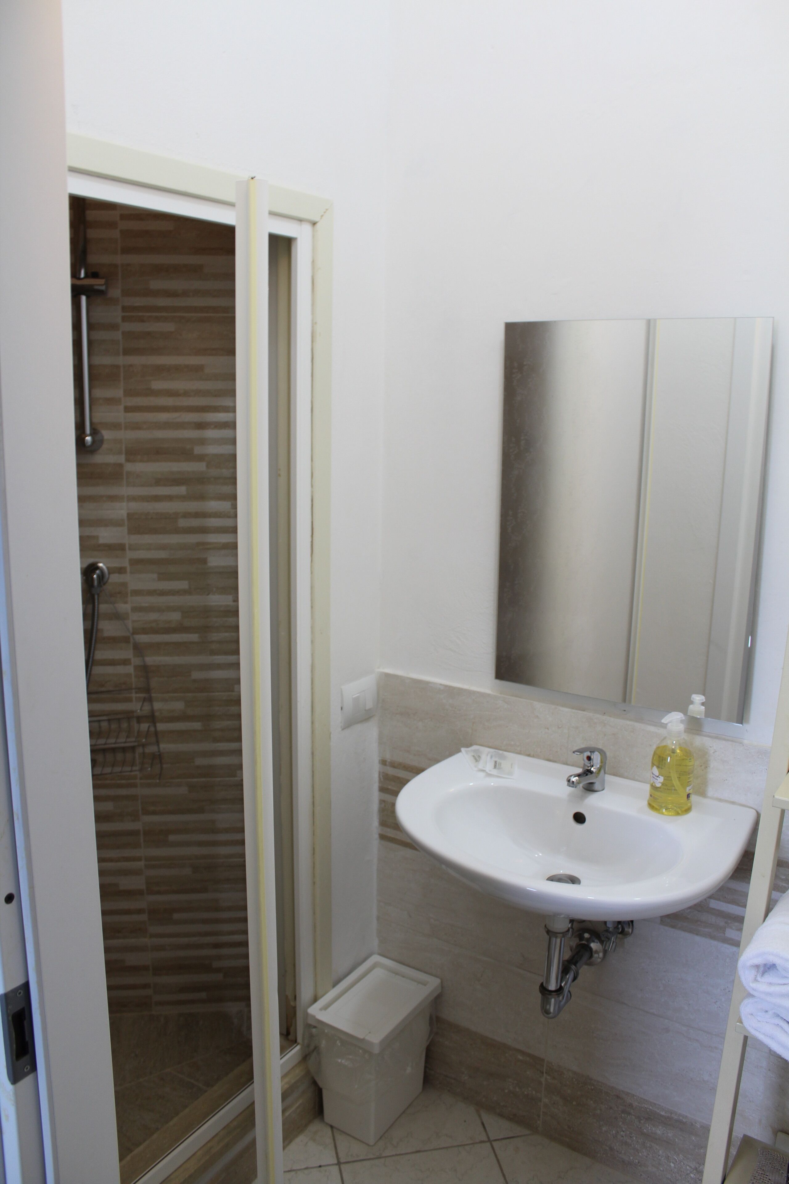 Une salle de bain avec une douche, un lavabo et un miroir.