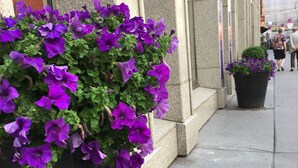 A large planter with purple flowers on a city sidewalk. - City-center apartment (Vienna)