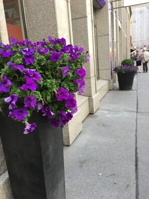 View from property - Heart of Vienna Homes (Vienna)