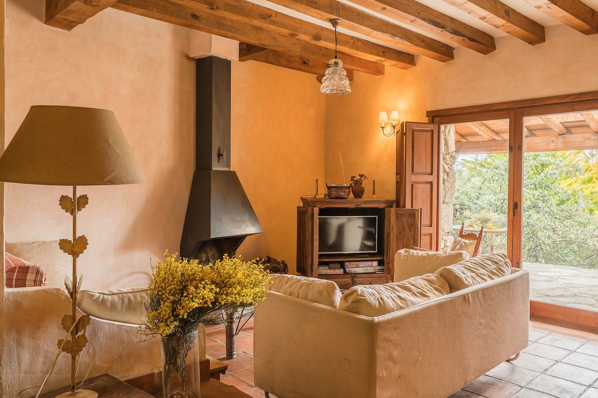 Un salon confortable avec une cheminée, un canapé, un téléviseur et une lampe.