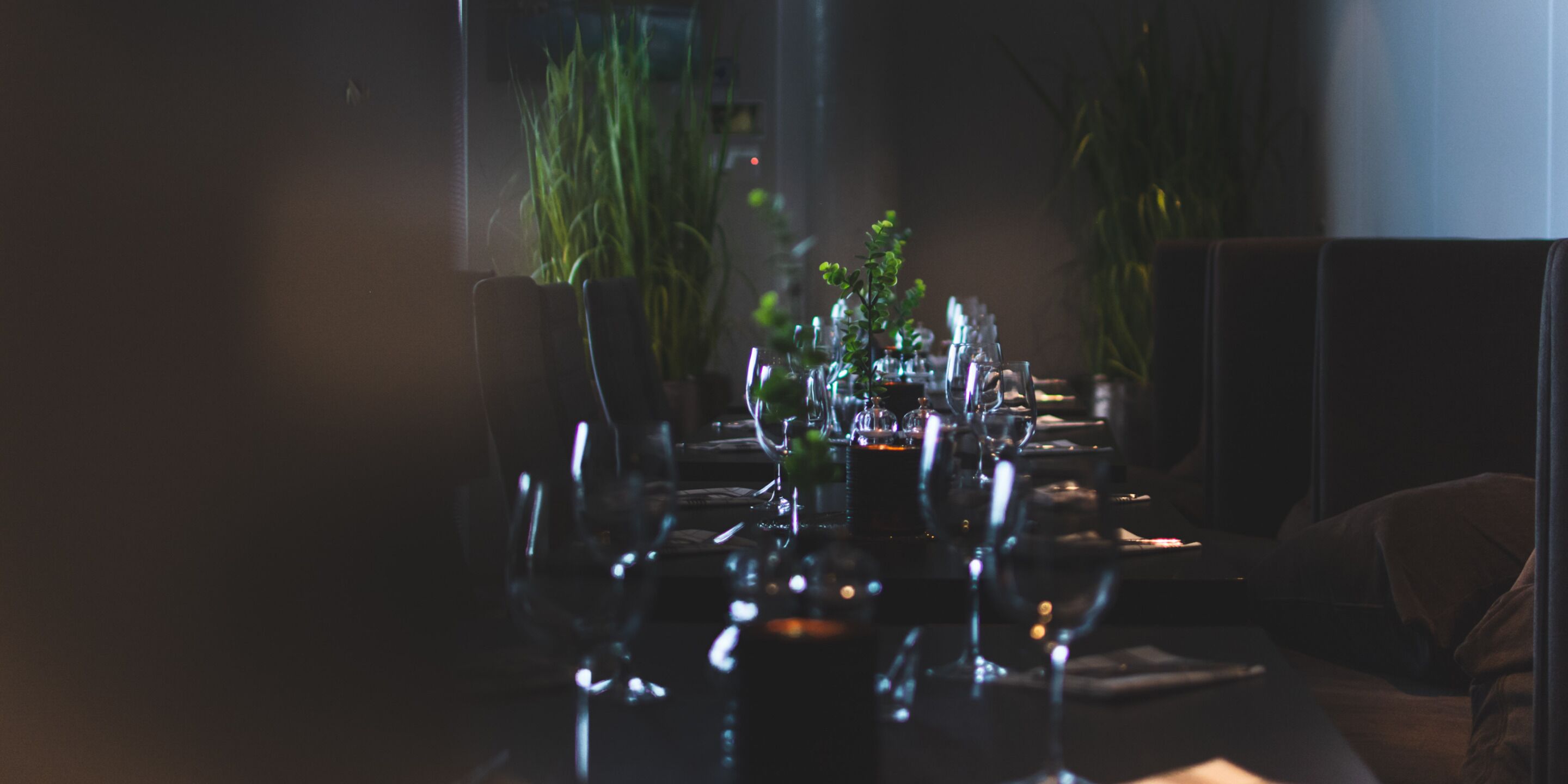 Un restaurant à la lumière tamisée, avec une longue table dressée pour le repas, entourée de chaises et de plantes en pot.