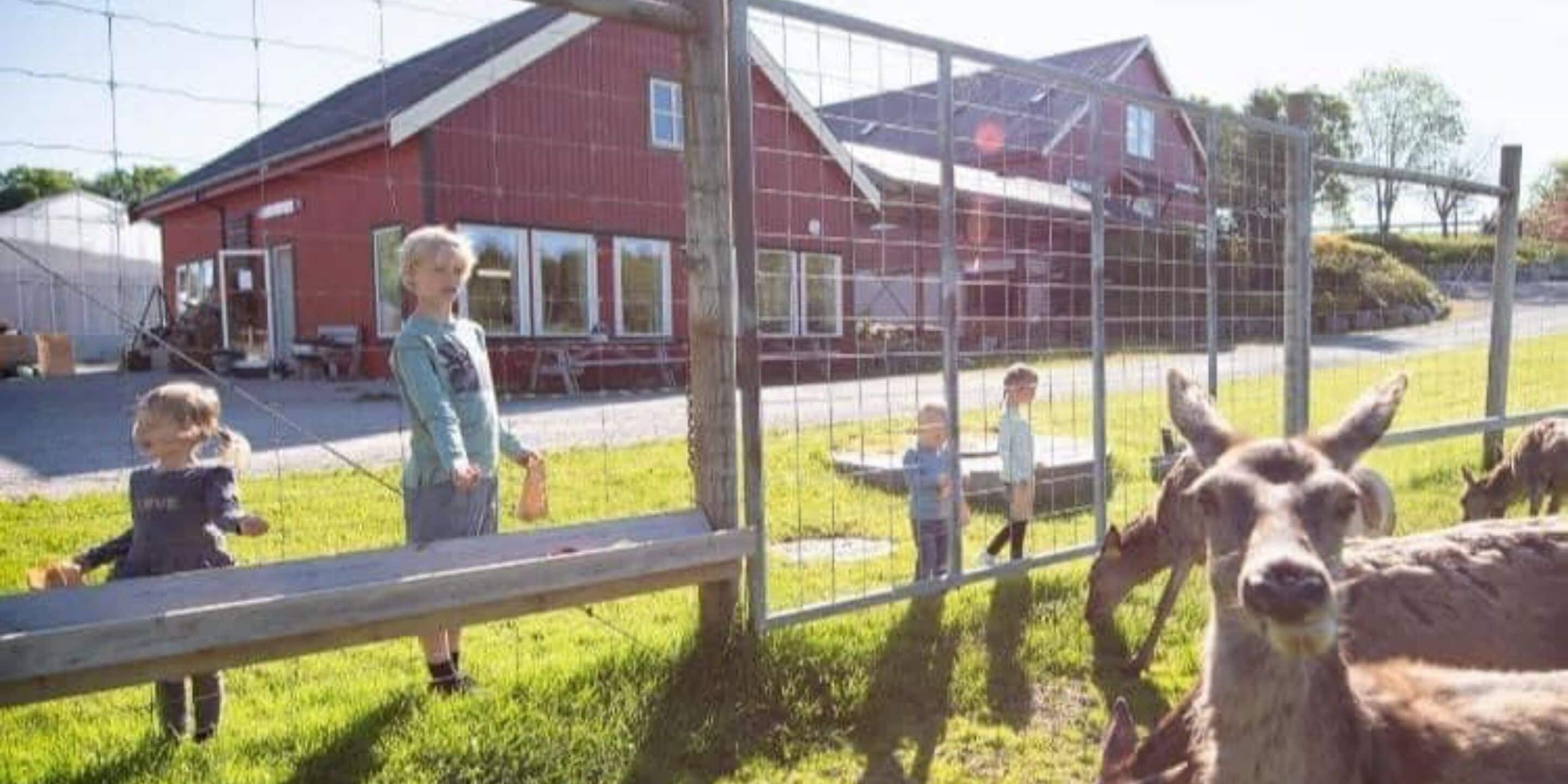 children’s activities