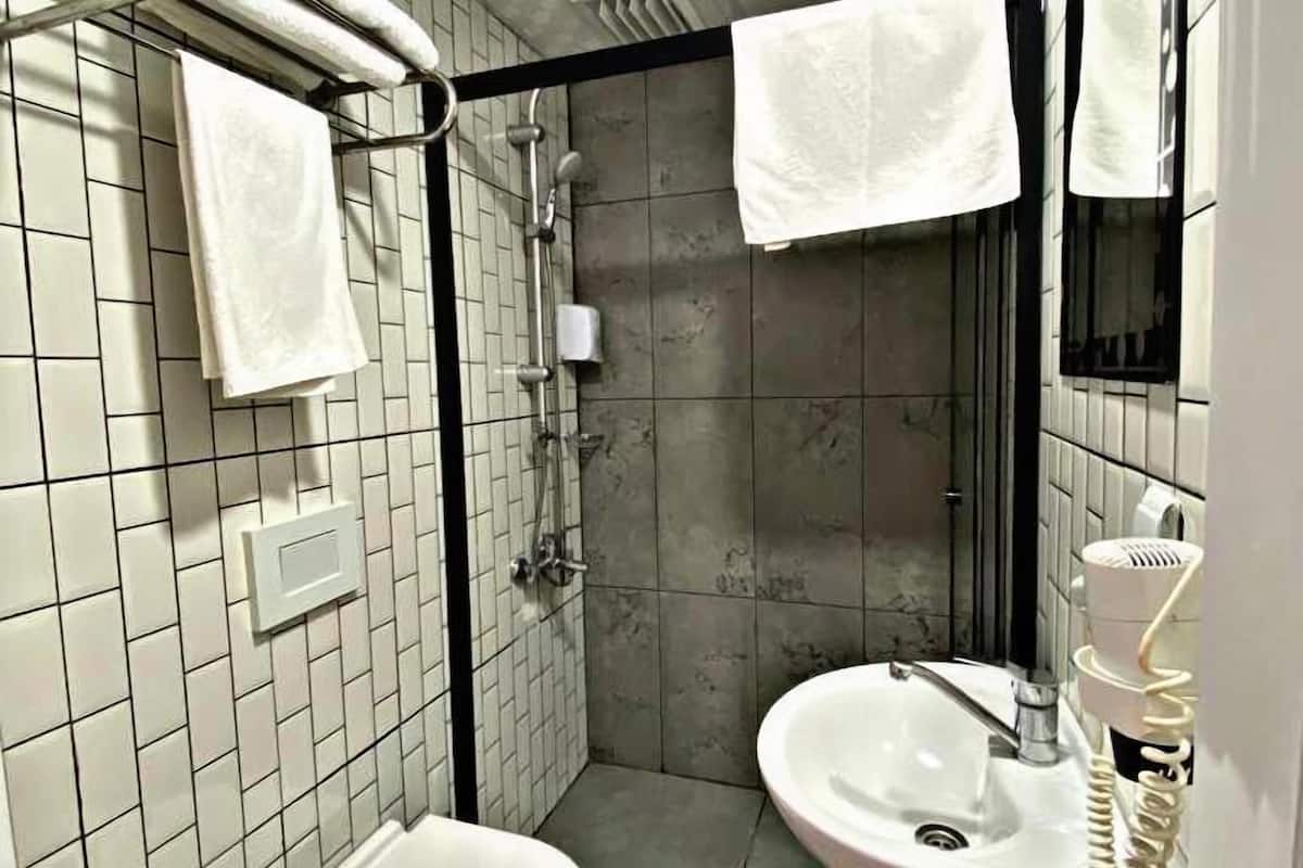 family room | bathroom | shower, free toiletries, hair dryer, towels
