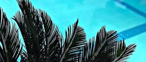 Sesongbasert utendørsbasseng