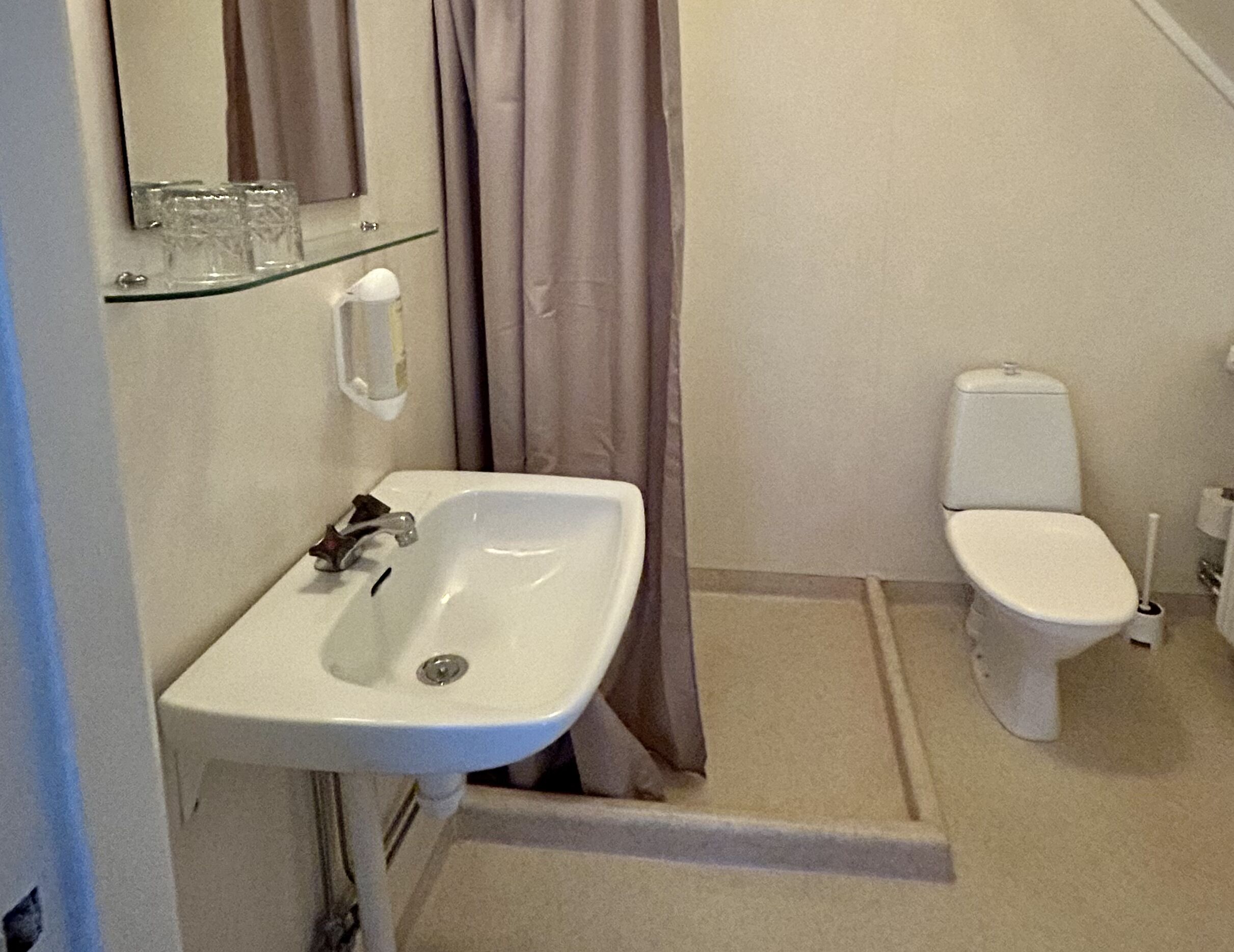 A bathroom with a white sink, a toilet, and a glass shelf above the sink.