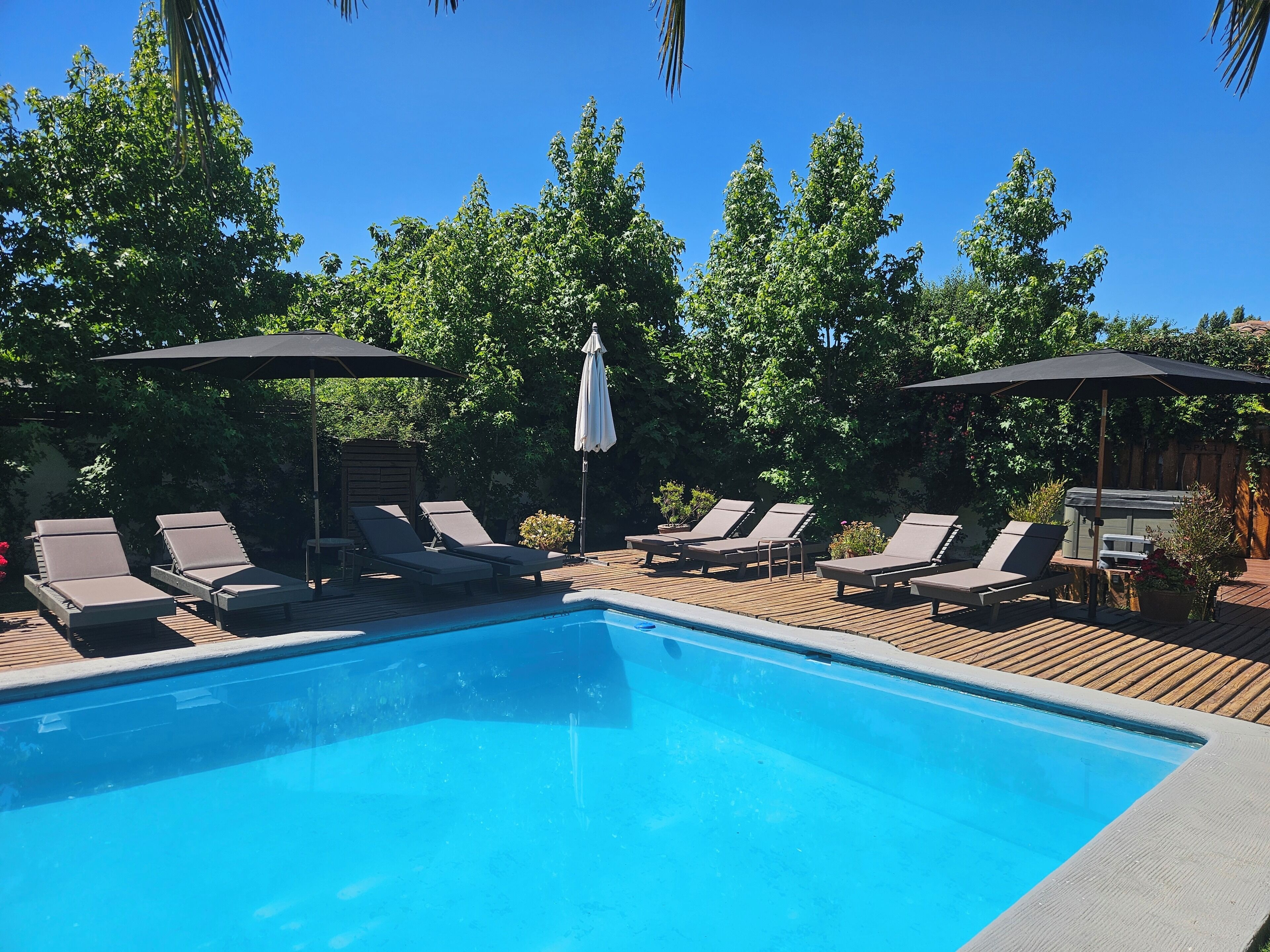 Outdoor pool, sun loungers