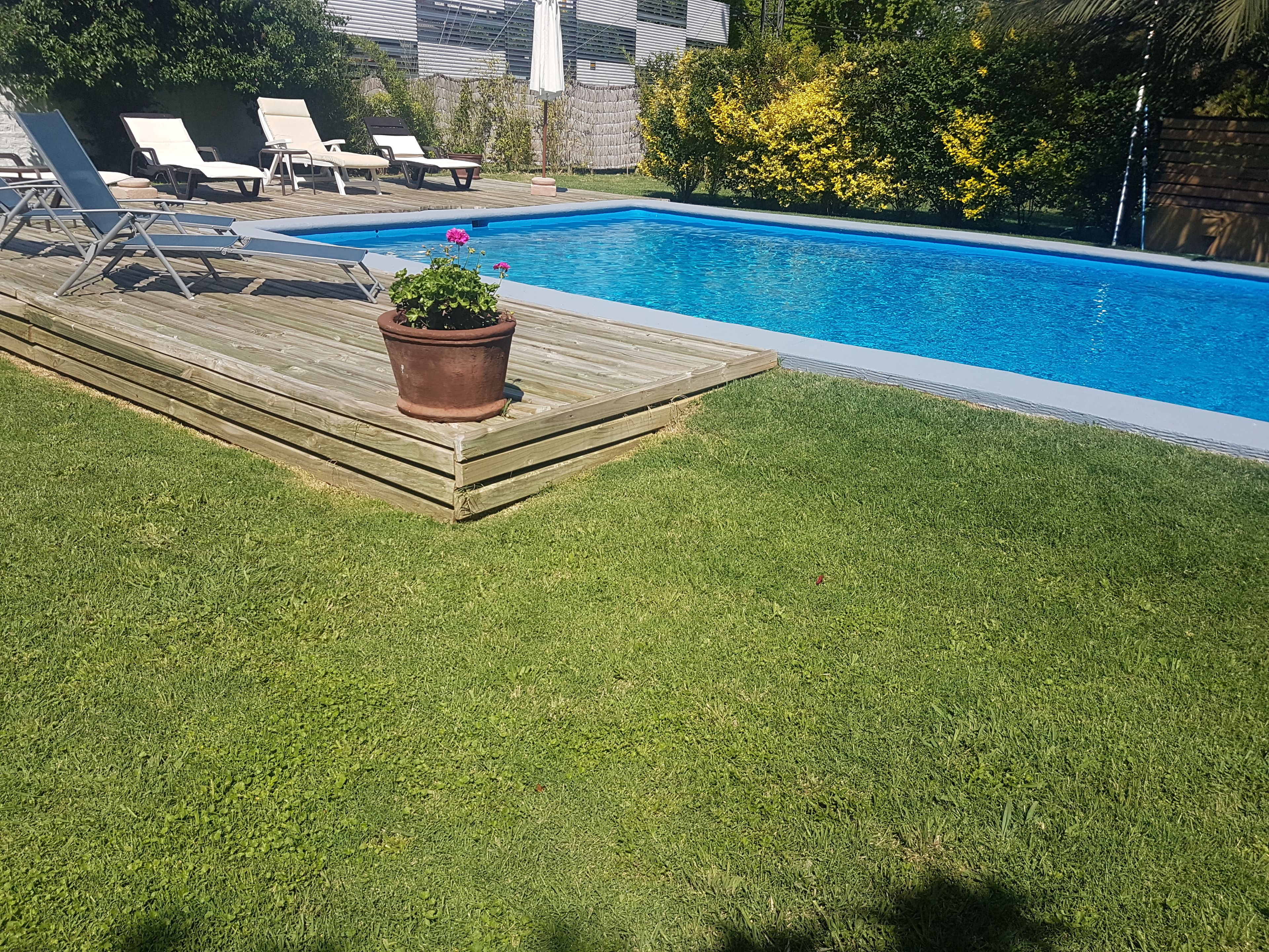A swimming pool with a wooden deck and lounge chairs.