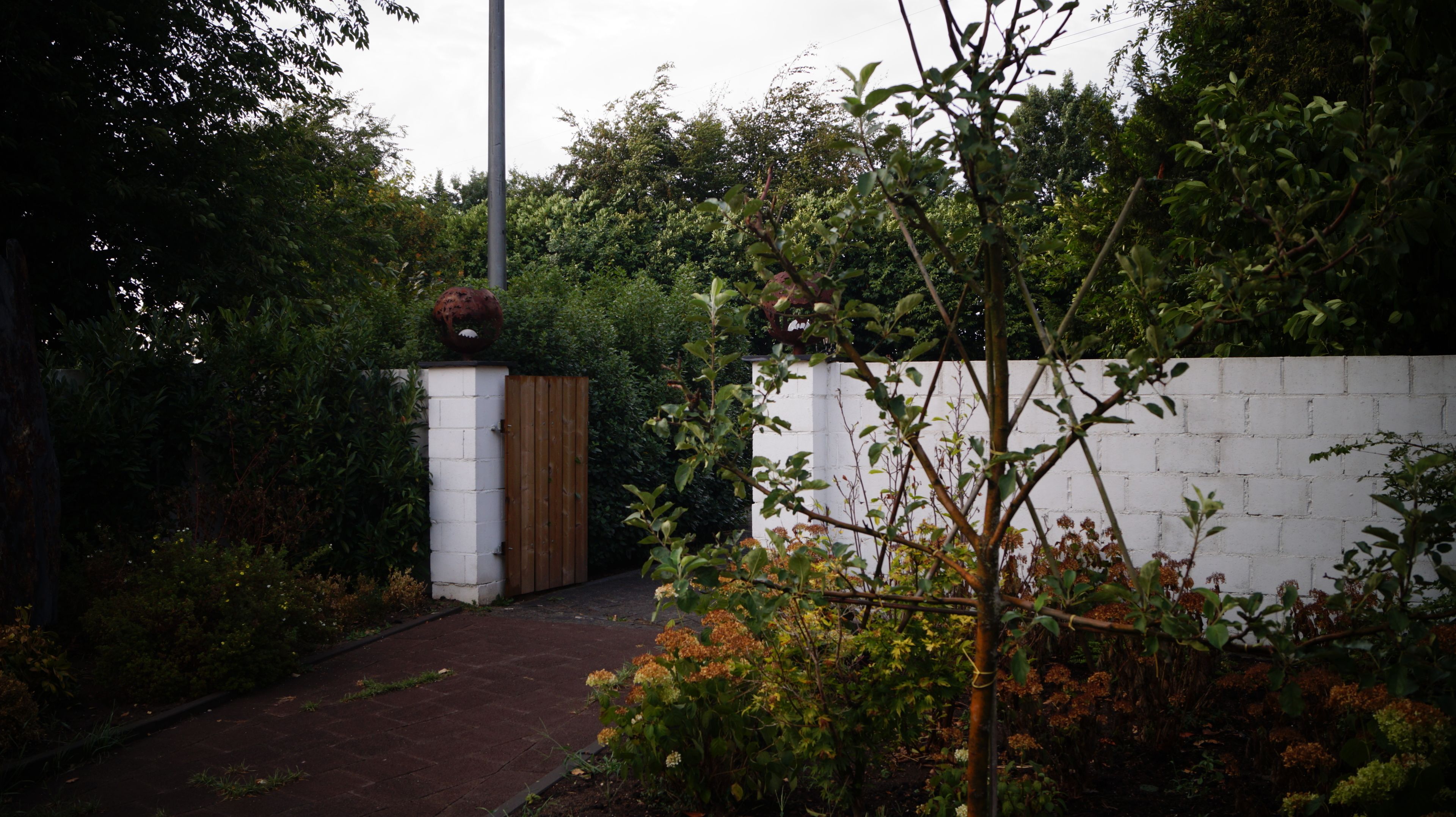 A pathway leading to a gated entrance surrounded by dense foliage and a white wall.