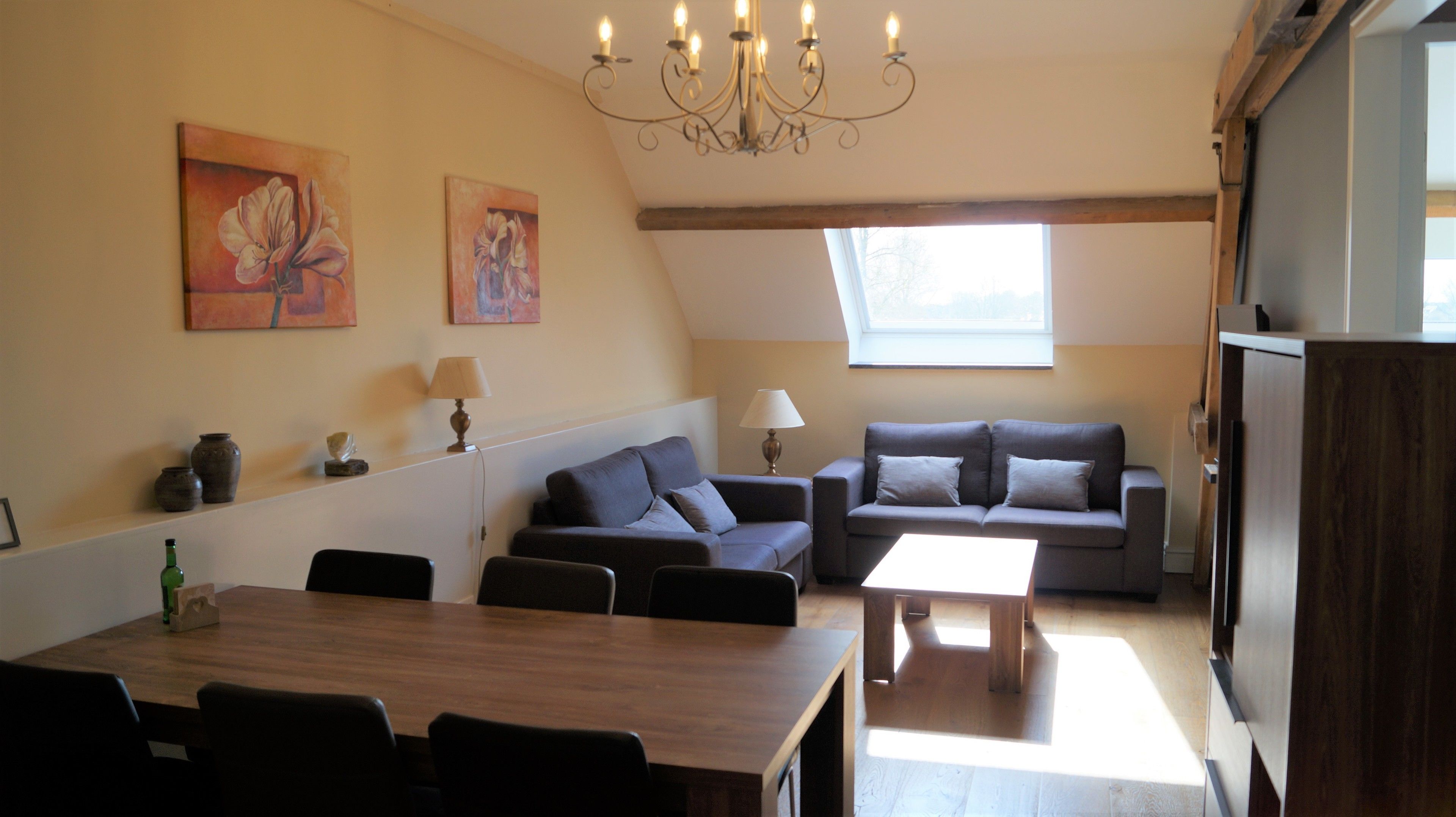 Deluxe Apartment | Living area | 32-inch flat-screen TV with cable channels, TV