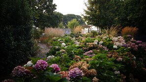 A garden with various flowers and a pathway. - B&B Johannes-Hoeve (Baarlo)