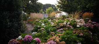 B&B Johannes-Hoeve