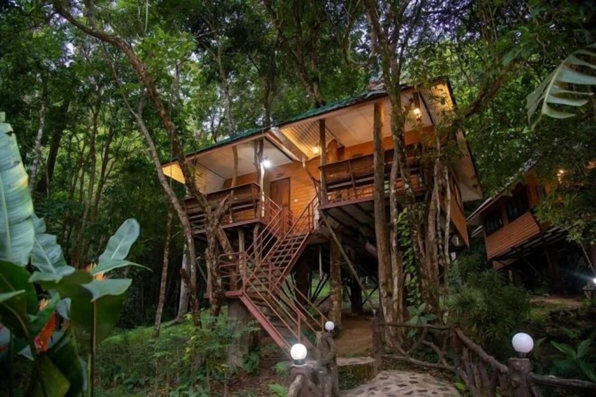 Una casa en los árboles con fachada de madera, rodeada de follaje denso.