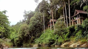 A river flowing through a forested area with wooden structures built on stilts along the riverbank. - Khaosok Rainforest Resort (Phanom)