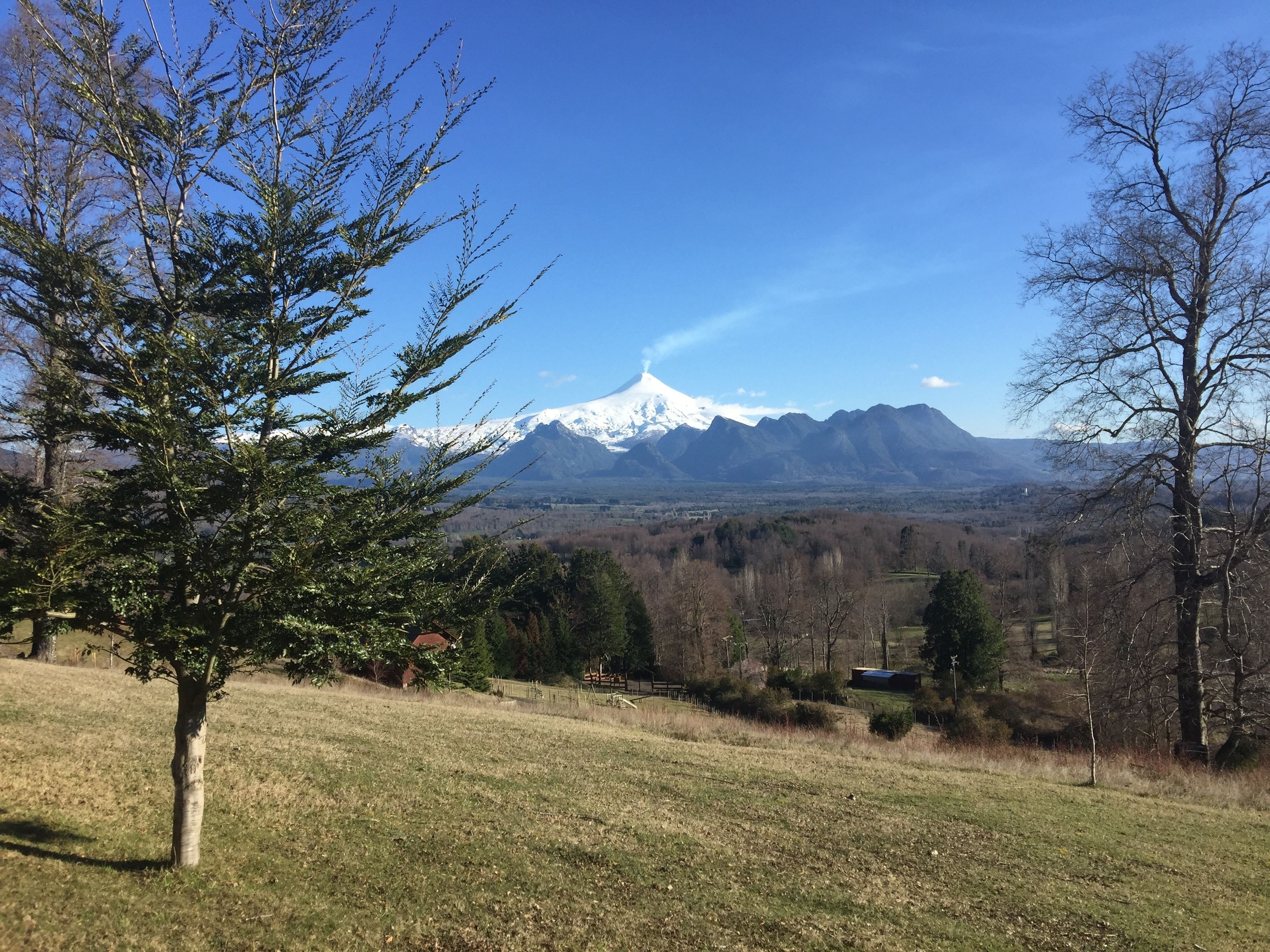 A mountain landscape with snow-capped peaks, a clear blue sky, and a foreground of trees and grass.