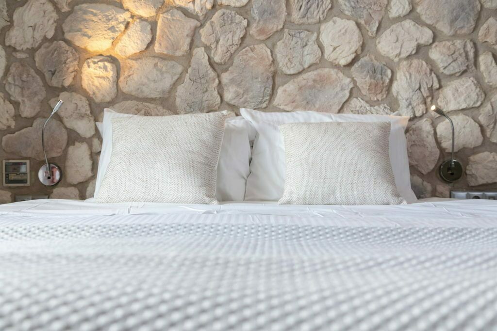 Chambre Exécutive Double ou avec lits jumeaux