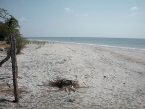 靠近海滩、白沙
