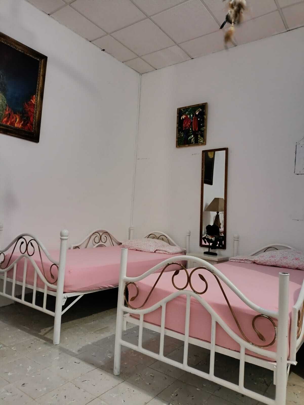 A room with two white metal beds with pink bedding, a large mirror, and a painting on the wall.