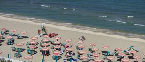 Plage privée, chaises longues, parasols, bar de plage