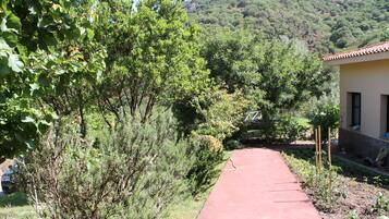 A pathway leading to a building surrounded by lush greenery and hills.