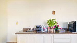 A kitchen with a sink, coffee maker, and a potted plant.