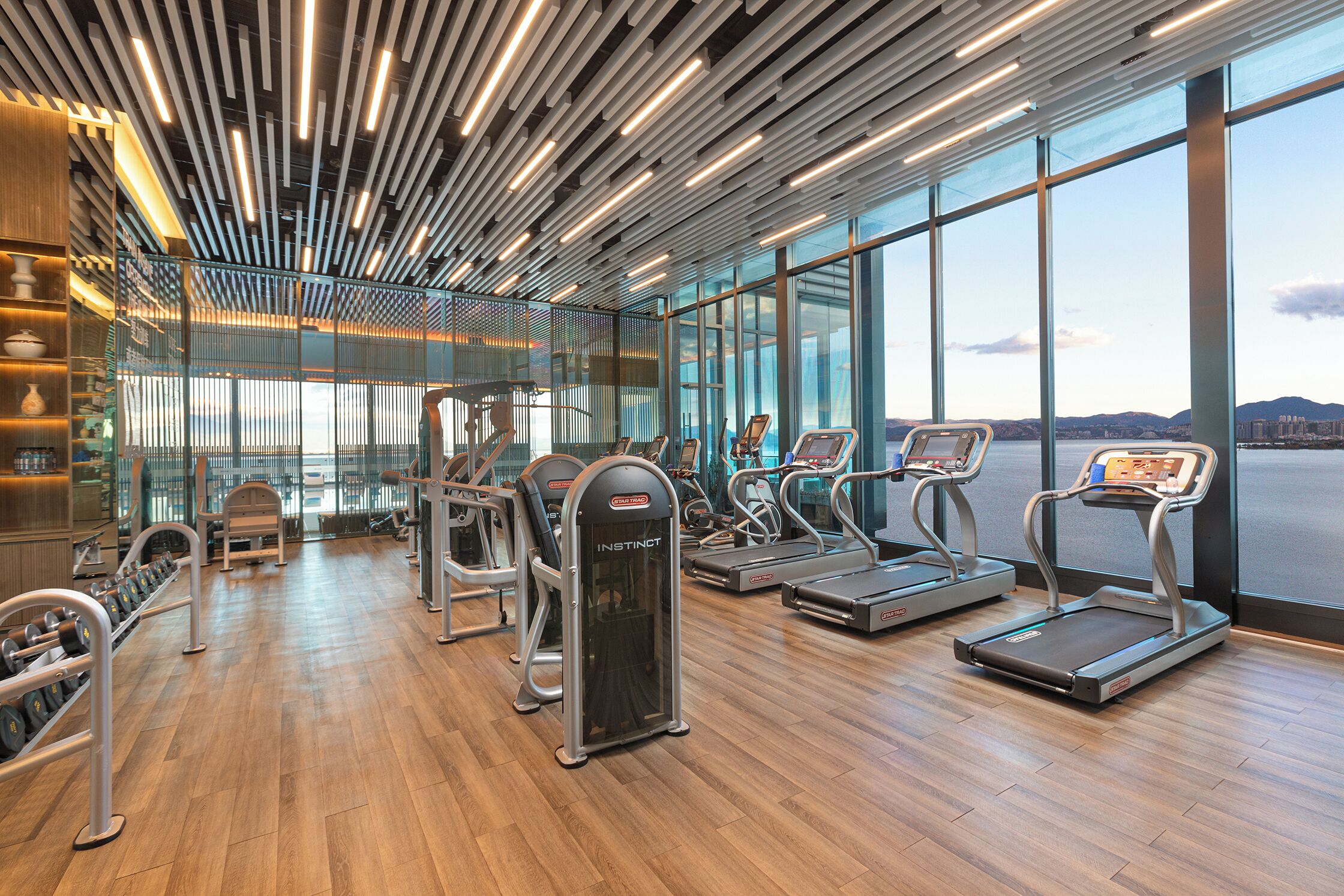 Un gimnasio moderno con cintas de correr, mancuernas y máquinas de pesas.